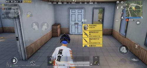 巡查员最新爆料视频播放,视频揭秘现场惊人一幕！